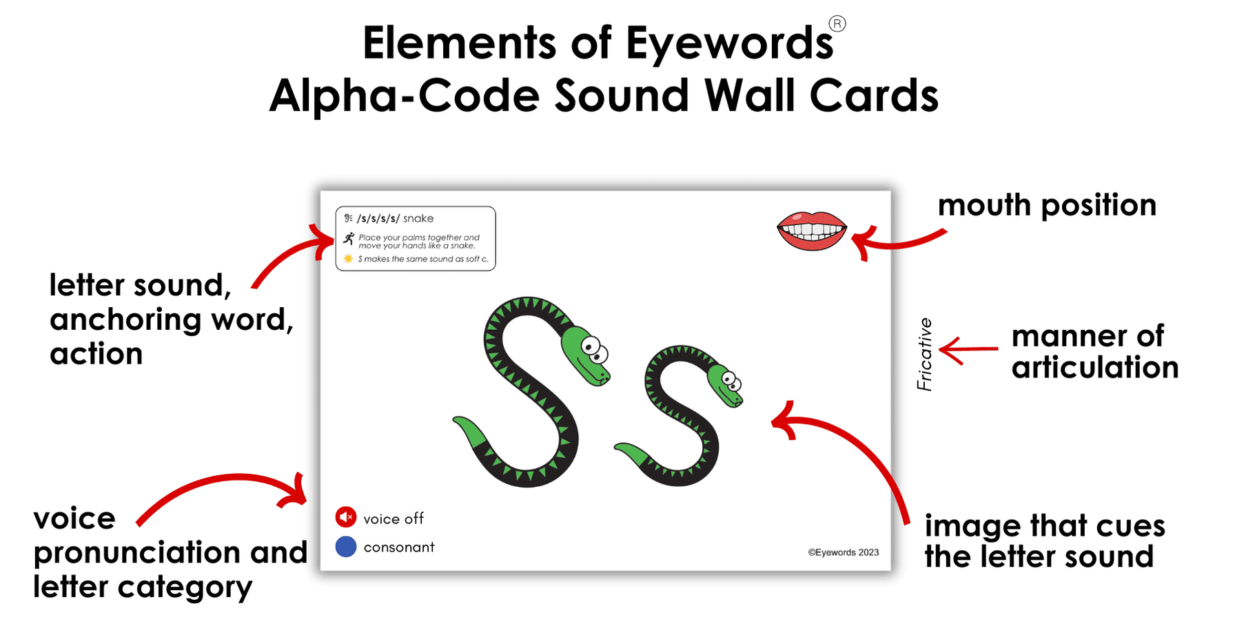AlphaCode Sound Wall, Set 1 Initial Letters and Sounds (Digital Down